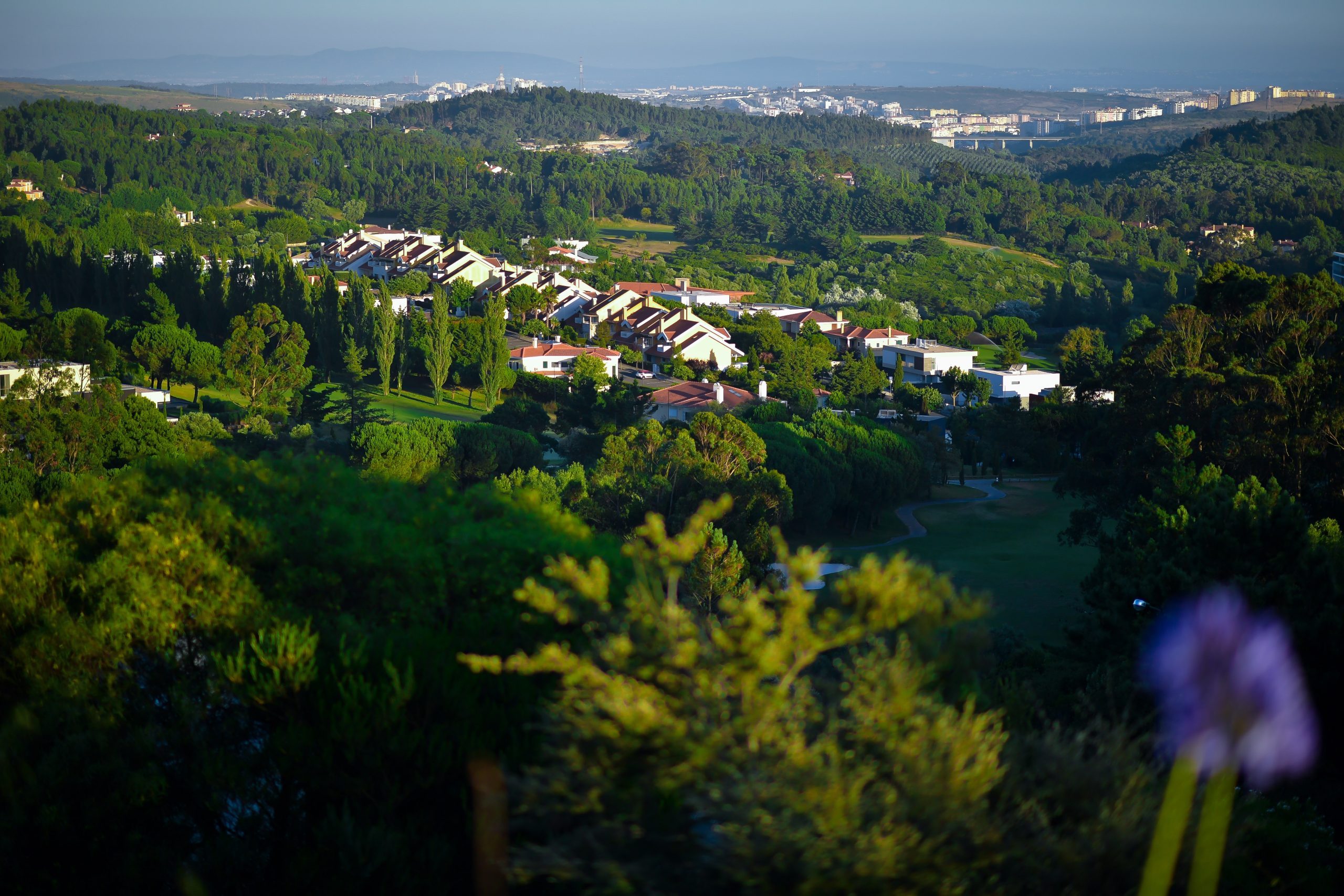 Foto aérea da vila